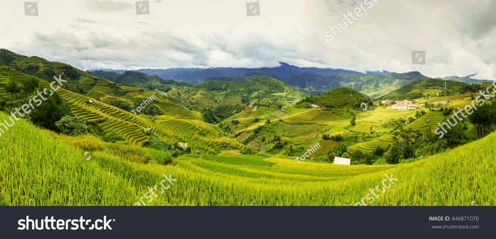 Ruộng bậc thang Tây Bắc MRBT-019